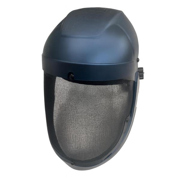 Face shield protector